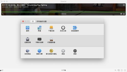 平板新款爆料视频下载软件,新款爆料视频下载软件深度解析  第1张