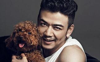 爆料娱乐圈杨烁简介百度百科,娱乐圈实力派演员的崛起之路  第3张