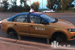 哈尔滨租车最新爆料,揭秘冬季热门车型与优惠攻略  第2张